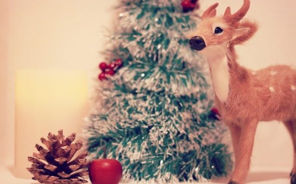 大作戦 特別な関係に一歩近づけるかも クリスマスを好きな人と過ごそう ピュアラモ Purelamo あなたの生活にかわいいを届ける