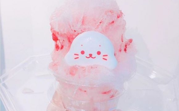 アザラシがとってもキュートなアイスしろたんとは 原宿で行きたいかき氷屋さんはココ ピュアラモ Purelamo あなたの生活にかわいいを届ける