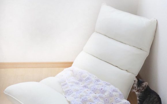 7畳 1kの狭い部屋でも置ける コンパクトでお洒落な座椅子14選 ピュアラモ Purelamo あなたの生活にかわいいを届ける