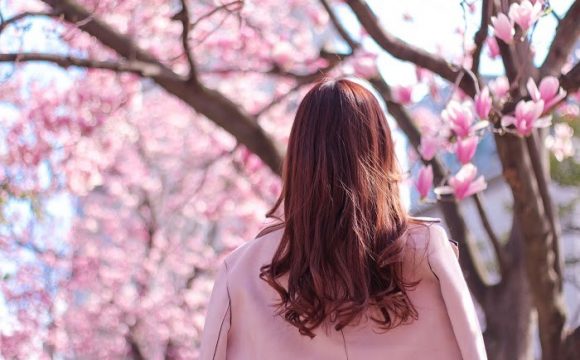 保存版 東京で人気のお花見デートスポット30選 おすすめ ピュアラモ Purelamo あなたの生活にかわいいを届ける